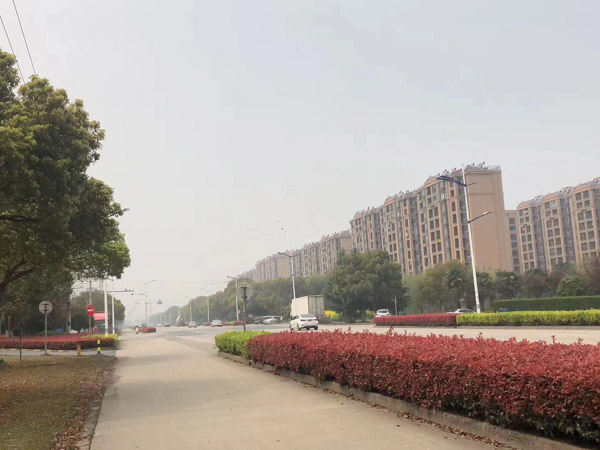 貪污案適用減輕處罰情節(jié)能否減至免予刑事處罰？上海刑事專業(yè)律師來回答