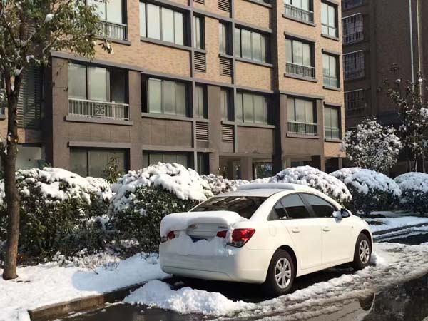 涉疫案例如何解決？上海死刑辯護律師告訴你