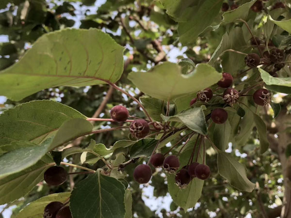 盜竊自己借給別人的東西在司法實踐中是盜竊嗎？上海刑事律師事務所來回答