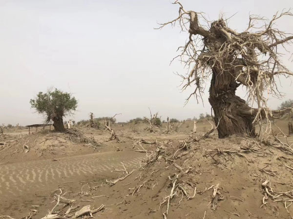 盜竊自己借給別人的東西在司法實踐中是盜竊嗎？上海刑事律師事務所來回答