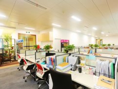 <b>死刑與社會演變：上海死刑辯護律師闡明政策、文化與公民信任</b>